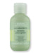 Aveda Aveda Pure Abundance Hair Potion 20 g Styling Treatments 