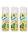 Batiste Batiste Dry Shampoo Tropical 3 Ct 1.7 oz Dry Shampoos 