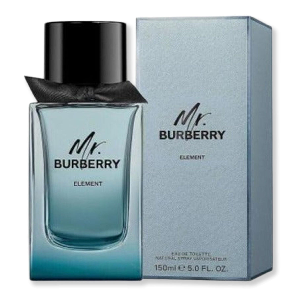Burberry Burberry Mr Burberry Element Eau De Toilette Perfume 5 oz 