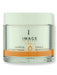 Image Skin Care Image Skin Care Vital C Hydrating Overnight Masque 2 oz Night Creams 