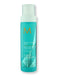 Moroccanoil Moroccanoil Protect & Prevent Spray 5.4 fl oz 160 ml Hair & Scalp Repair 