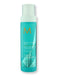 Moroccanoil Moroccanoil Protect & Prevent Spray 5.4 fl oz 160 ml Hair & Scalp Repair 