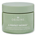 Origins Origins A Perfect World Antioxidant Moisturizer Face Moisturizers 1.7 oz 