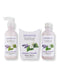 Pevonia Pevonia BodyRenew Jasmine & Lavender Gift Set Bath & Body Sets 