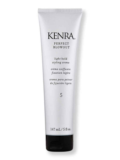 Kenra Kenra Perfect Blowout 5 5 oz Styling Treatments 