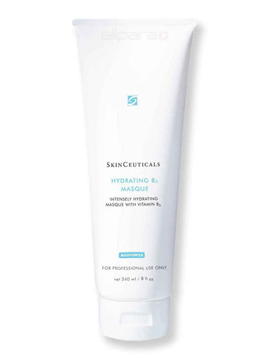 SkinCeuticals SkinCeuticals Hydrating B5 Masque 240 ml Face Masks 